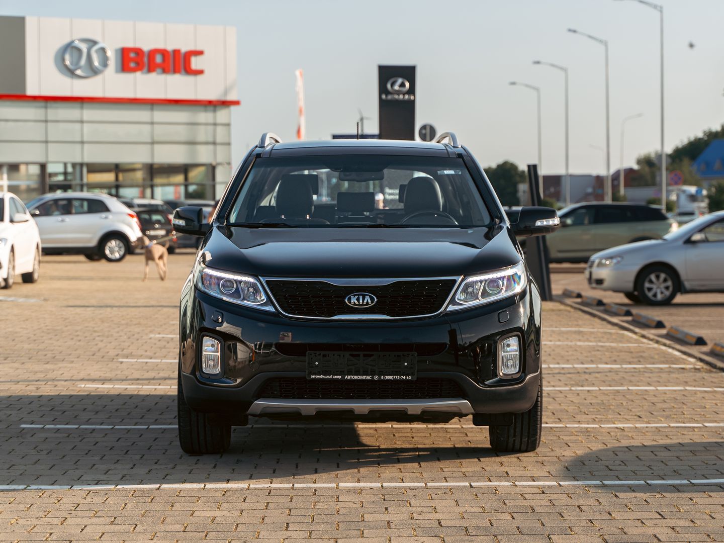 Kia Sorento